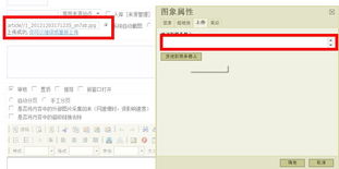 齐博cms不能发表图片,直接上传缩略图就可以